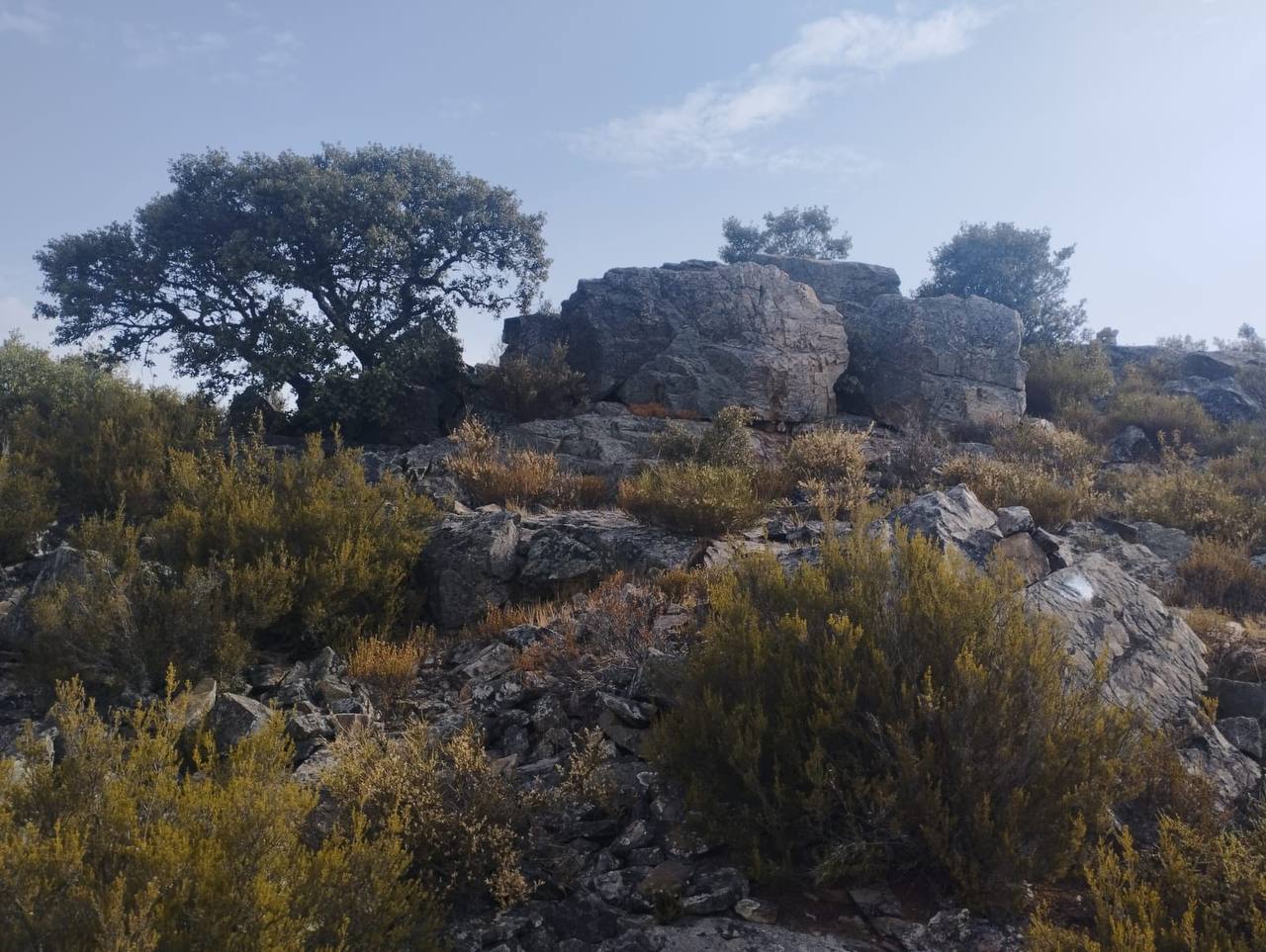 Fotografía de Curillas, Penillas y Fermentino