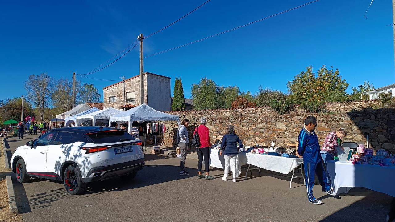 Fotografía de Curillas, Penillas y Fermentino