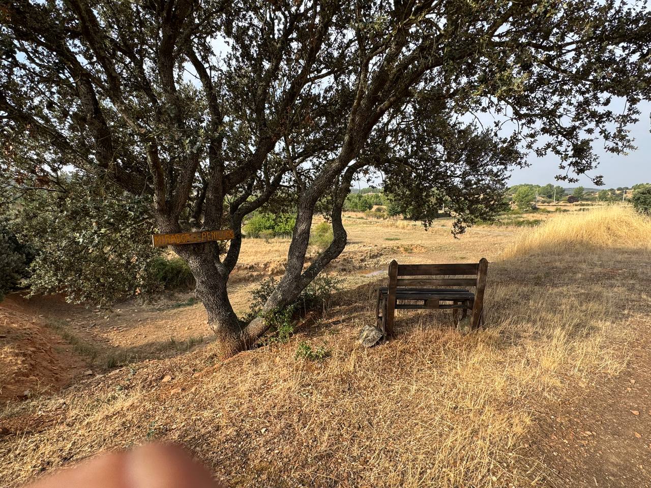 Fotografía de Curillas, Penillas y Fermentino