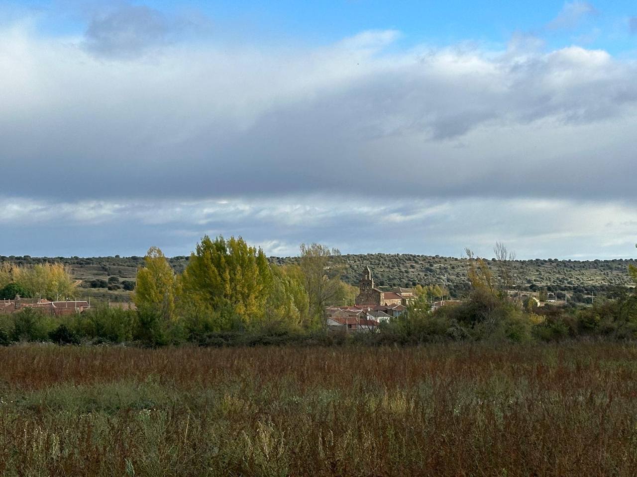 Fotografía de Curillas, Penillas y Fermentino