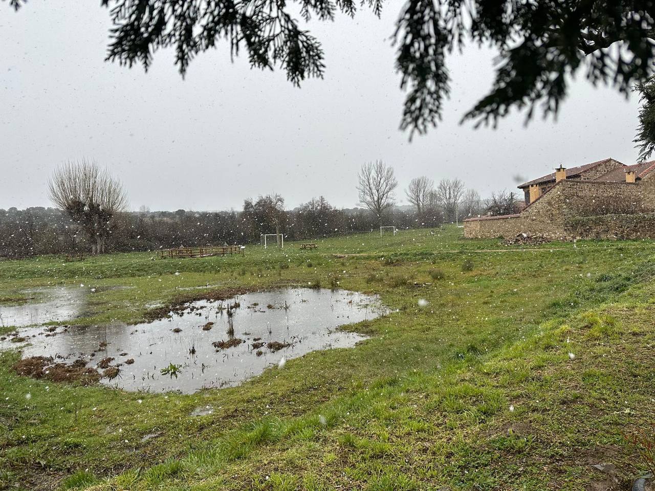 Fotografía de Curillas, Penillas y Fermentino