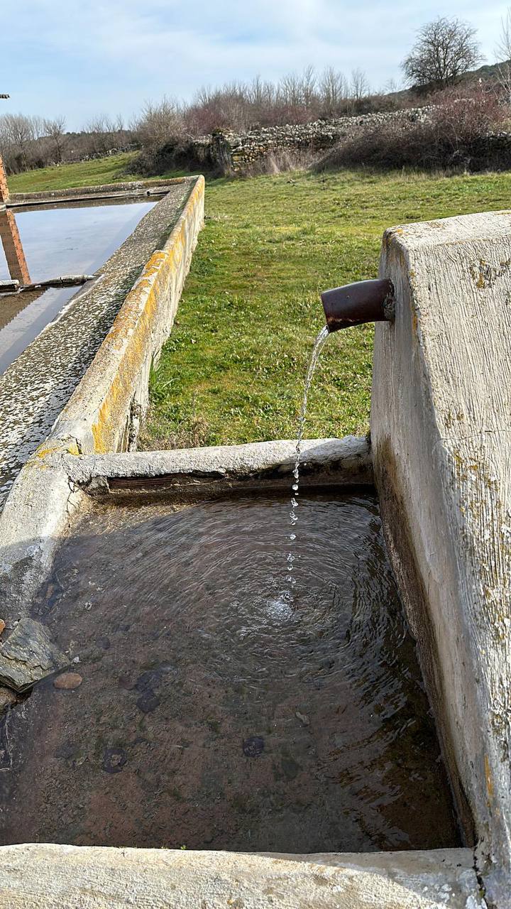 Fotografía de Curillas, Penillas y Fermentino