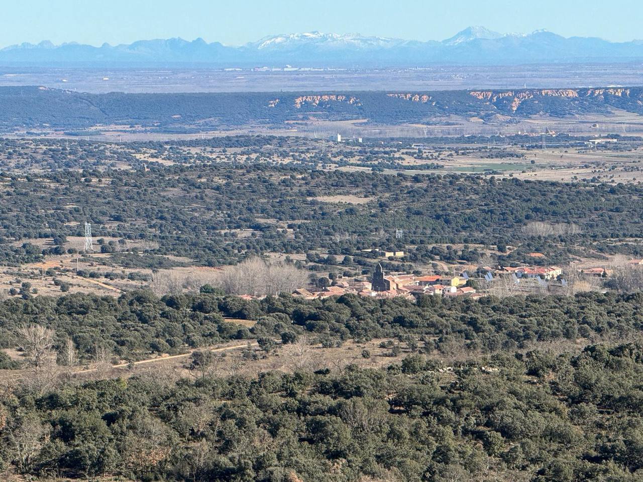 Fotografía de Curillas, Penillas y Fermentino