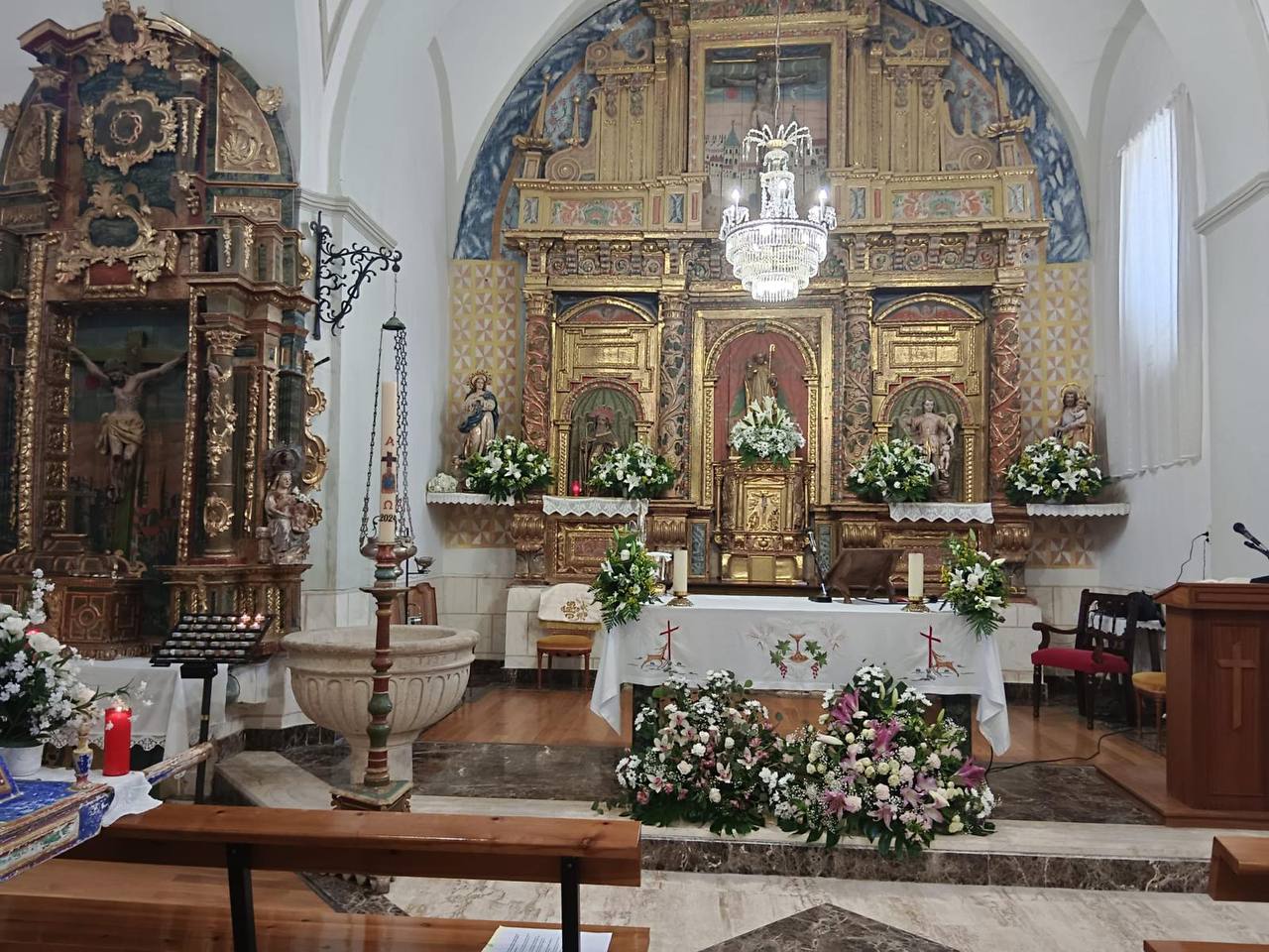Fotografía de Curillas, Penillas y Fermentino