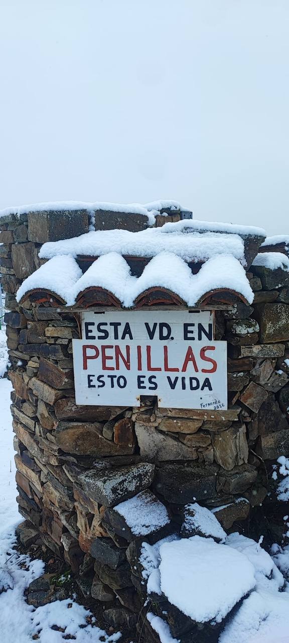 Fotografía de Curillas, Penillas y Fermentino