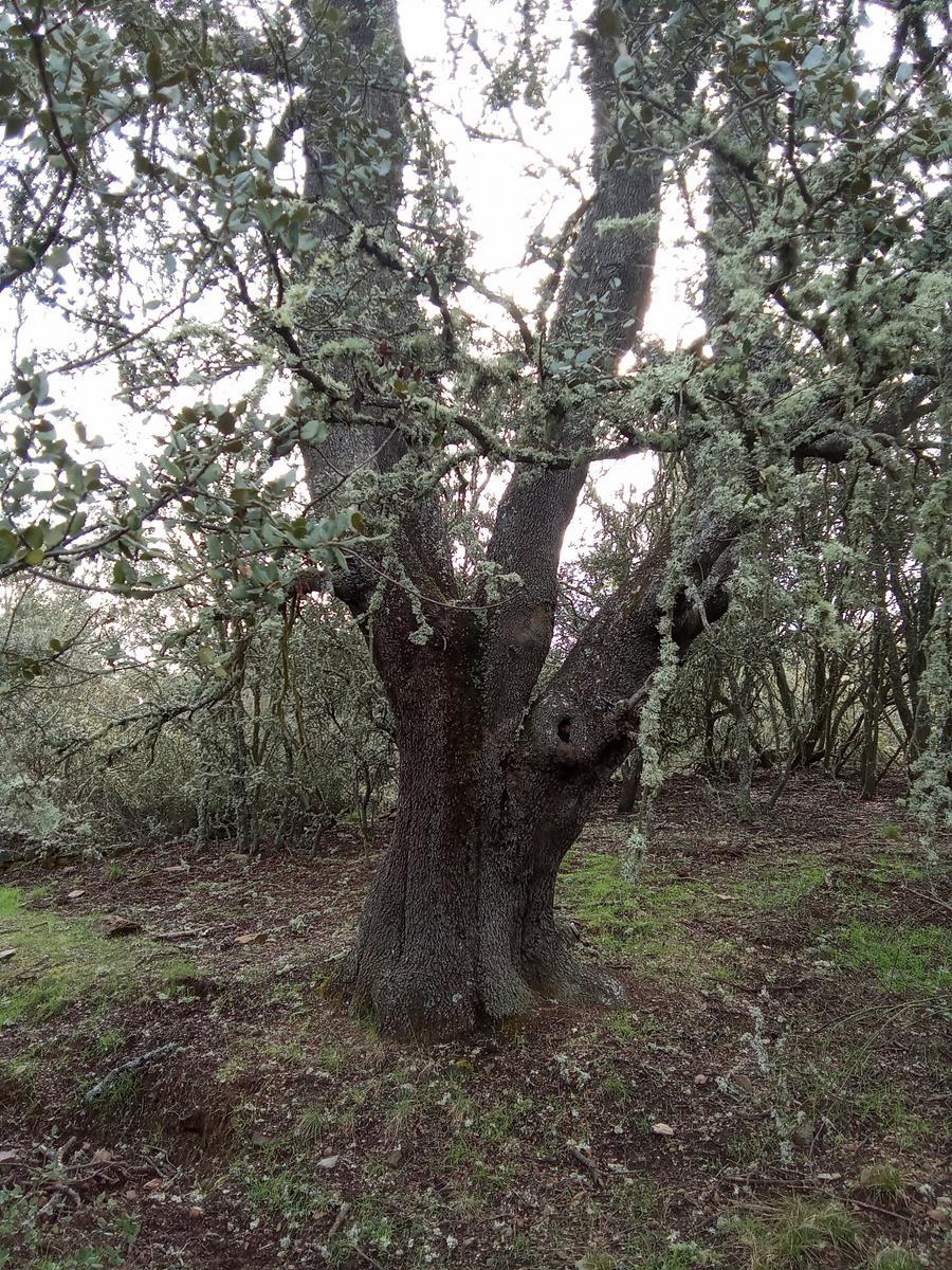 Paisaje de la Circular de Cotion