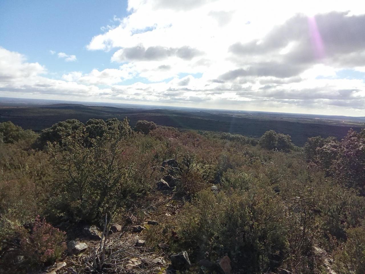 Paisaje de la Circular de Cotion