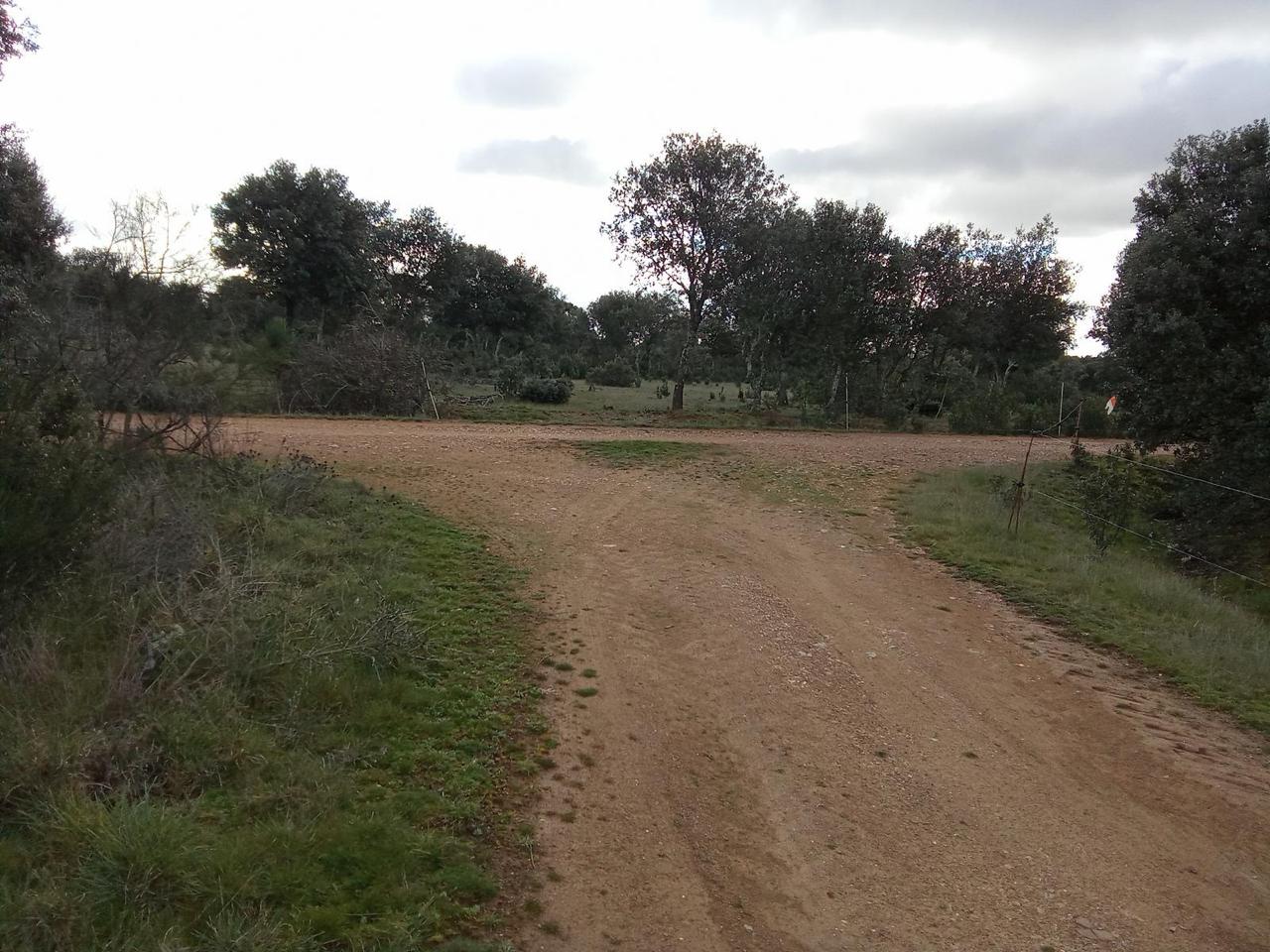 Paisaje de la Circular de Cotion