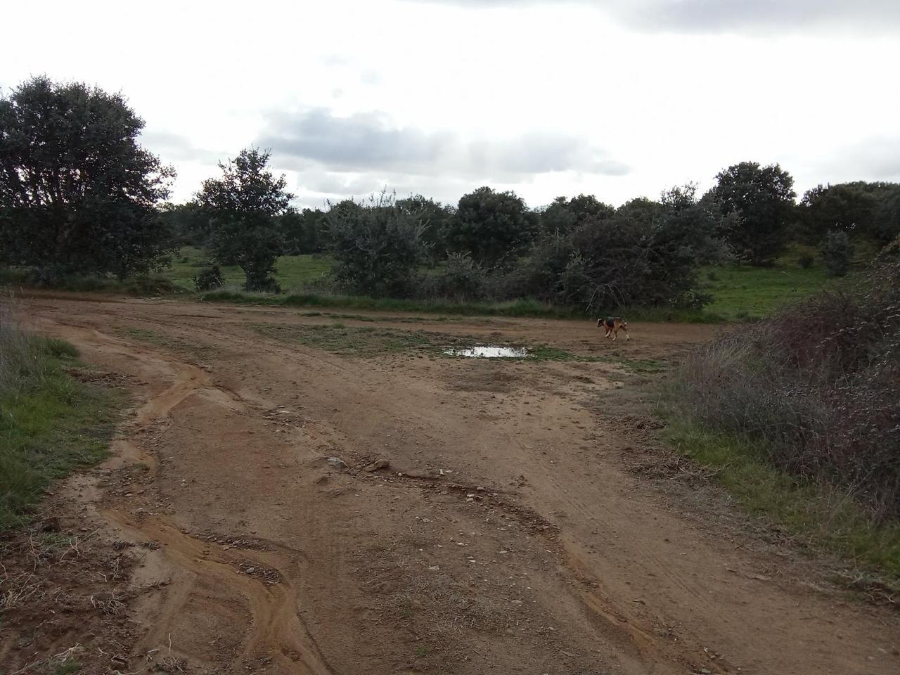Paisaje de la Circular de Cotion